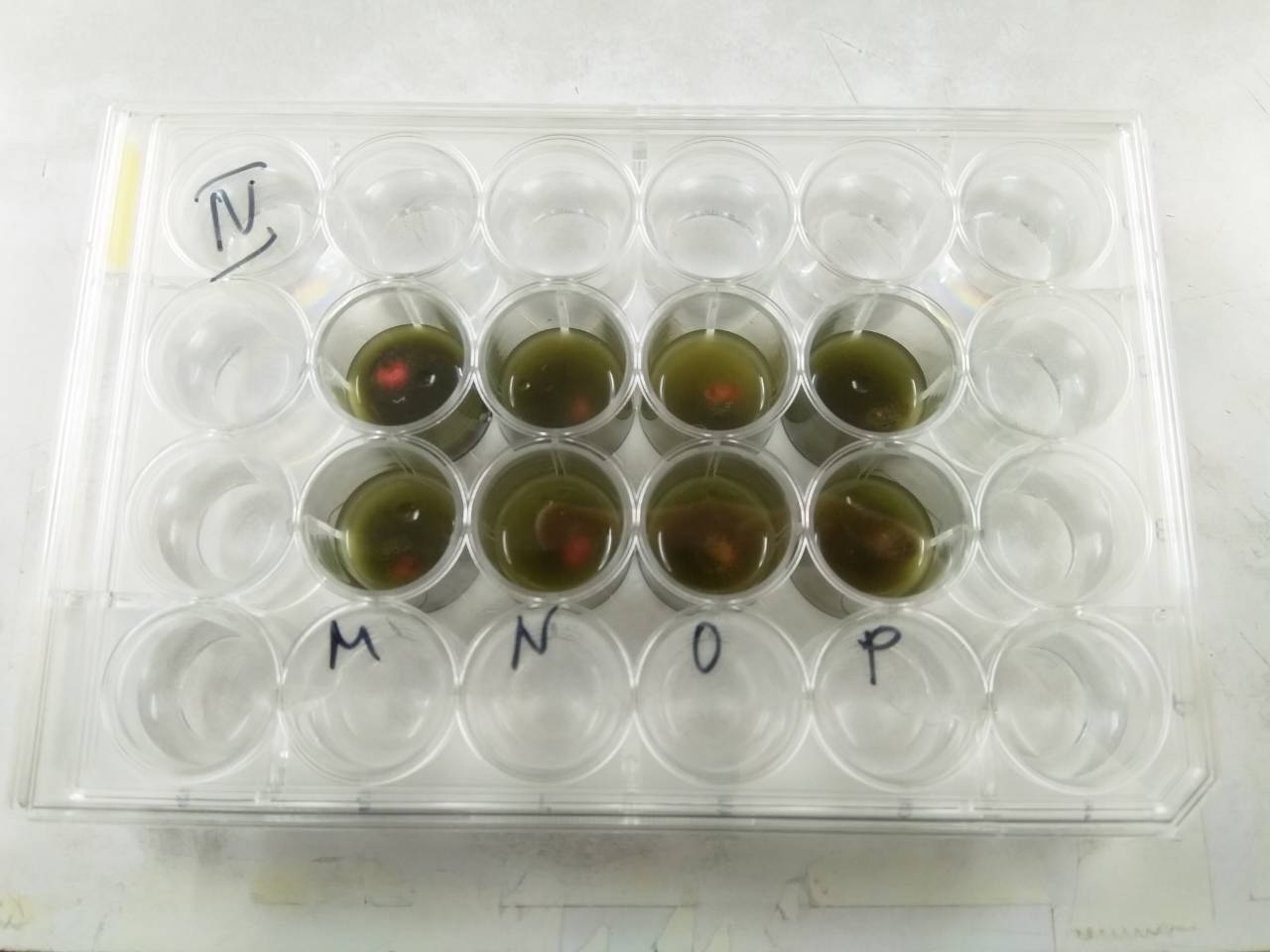 6 laboratory testing of bioproduct